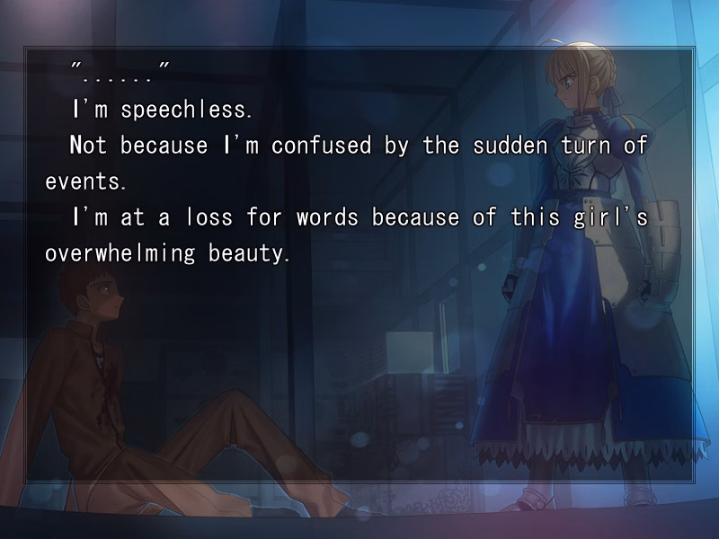 VN Others Completed Fate/Stay Night [Final] [Type-Moon]