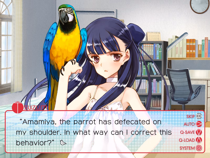 VN Others Completed Period [Final] [Littlewitch]