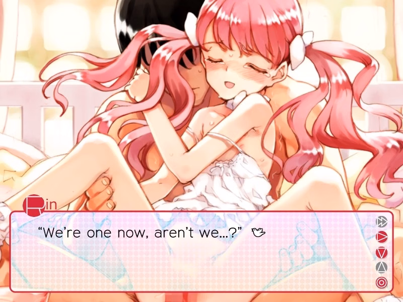VN Others Completed Period [Final] [Littlewitch]