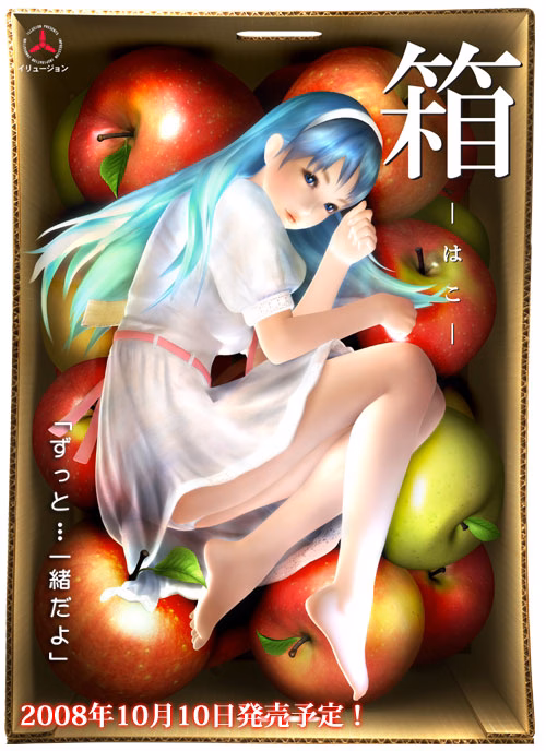 Others Completed HAKO [Illusion]