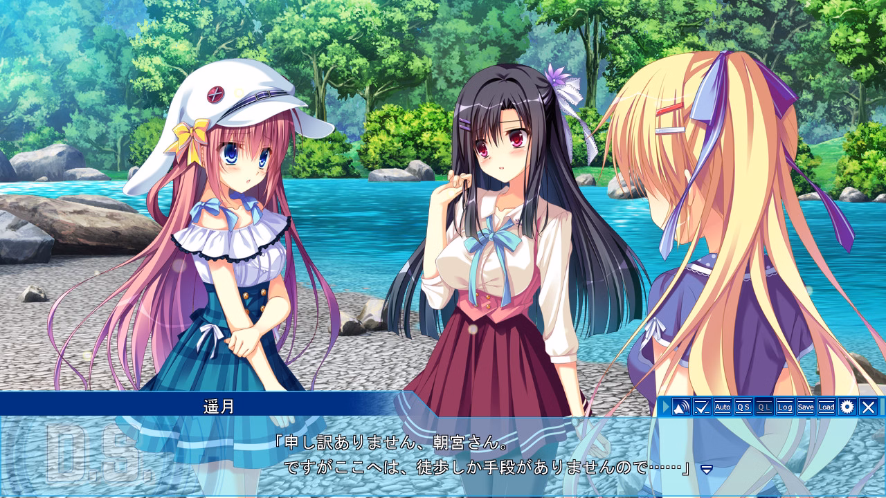 VN Others Completed D.S. -Dal Segno- [CIRCUS]