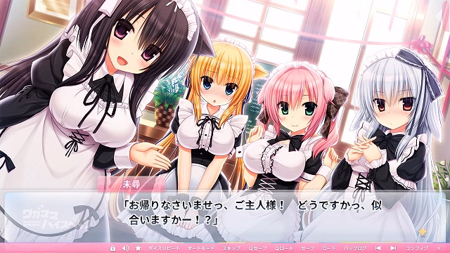 VN Others Completed Wagamama High Spec [Final] [Madosoft]