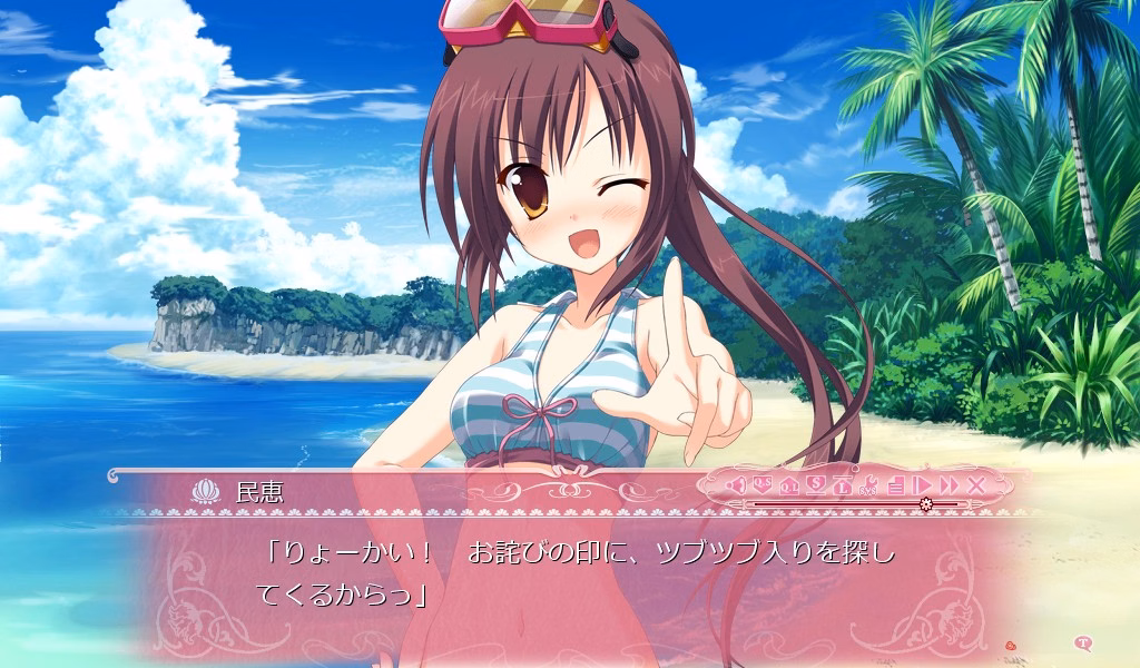 VN Others Completed Princess Evangile W Happiness [Moonstone]
