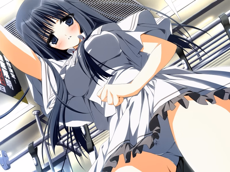 VN Others Completed Subarashiki Hibi ~Furenzoku Sonzai~ (Wonderful Everyday) [Final] [Front Wing]