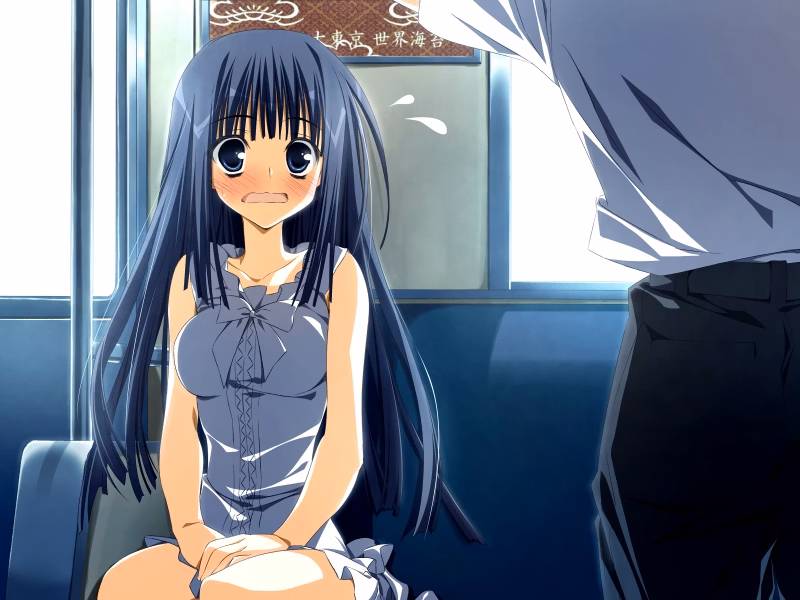 VN Others Completed Subarashiki Hibi ~Furenzoku Sonzai~ (Wonderful Everyday) [Final] [Front Wing]