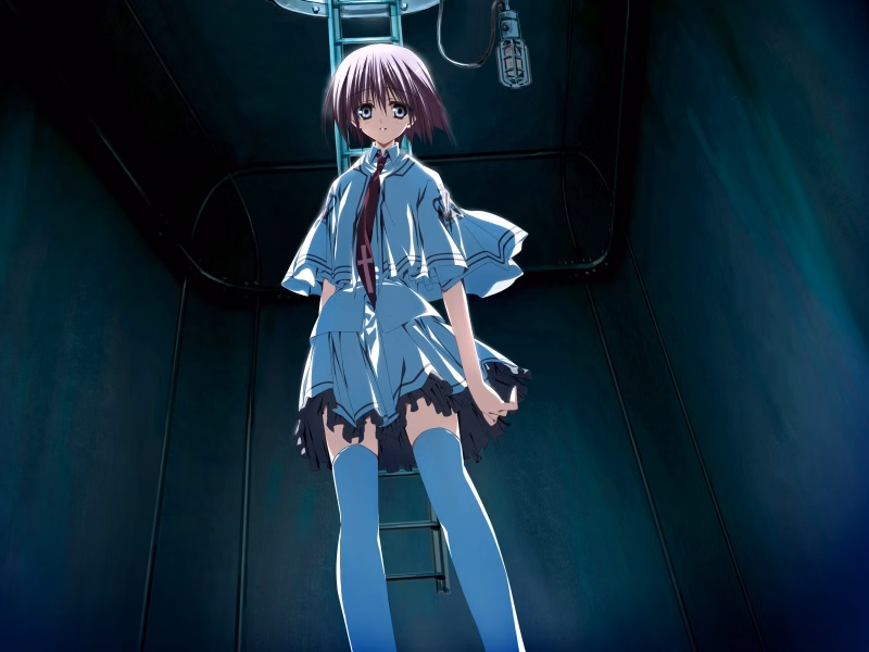 VN Others Completed Subarashiki Hibi ~Furenzoku Sonzai~ (Wonderful Everyday) [Final] [Front Wing]