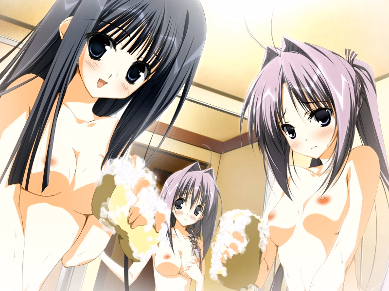 VN Others Completed Subarashiki Hibi ~Furenzoku Sonzai~ (Wonderful Everyday) [Final] [Front Wing]