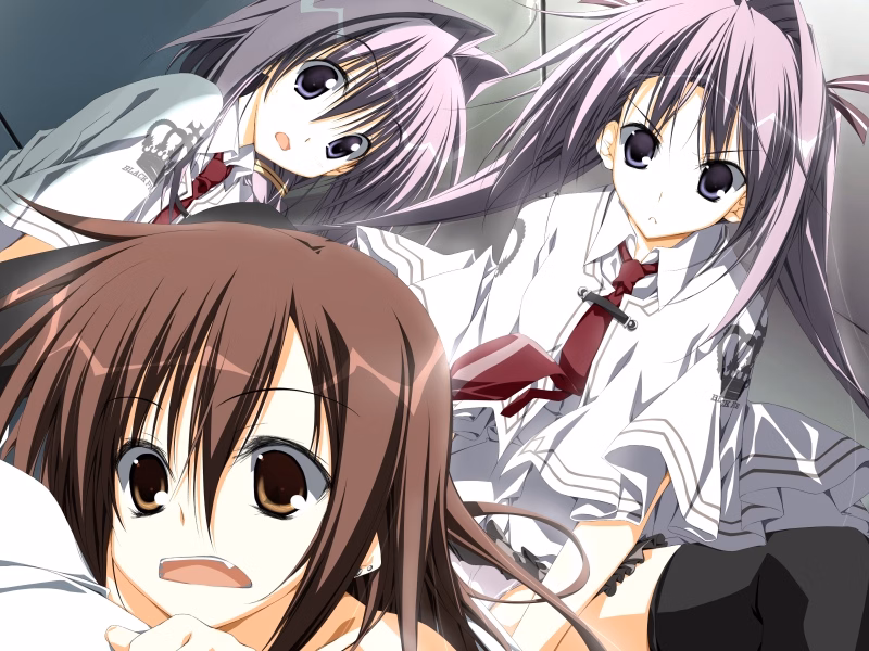 VN Others Completed Subarashiki Hibi ~Furenzoku Sonzai~ (Wonderful Everyday) [Final] [Front Wing]