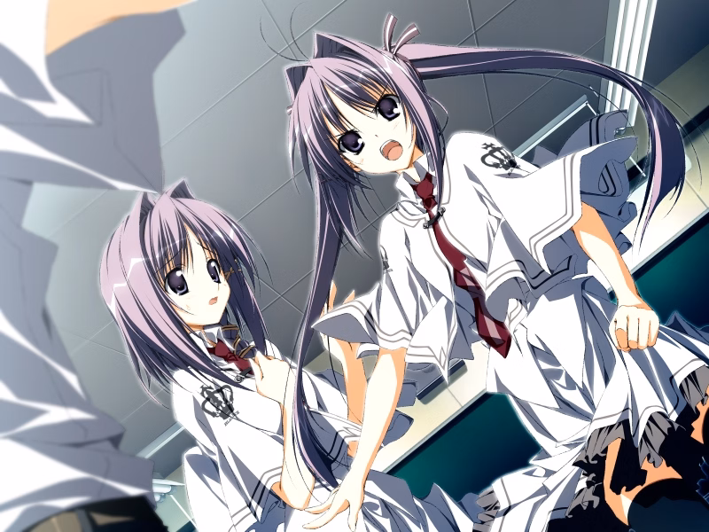 VN Others Completed Subarashiki Hibi ~Furenzoku Sonzai~ (Wonderful Everyday) [Final] [Front Wing]