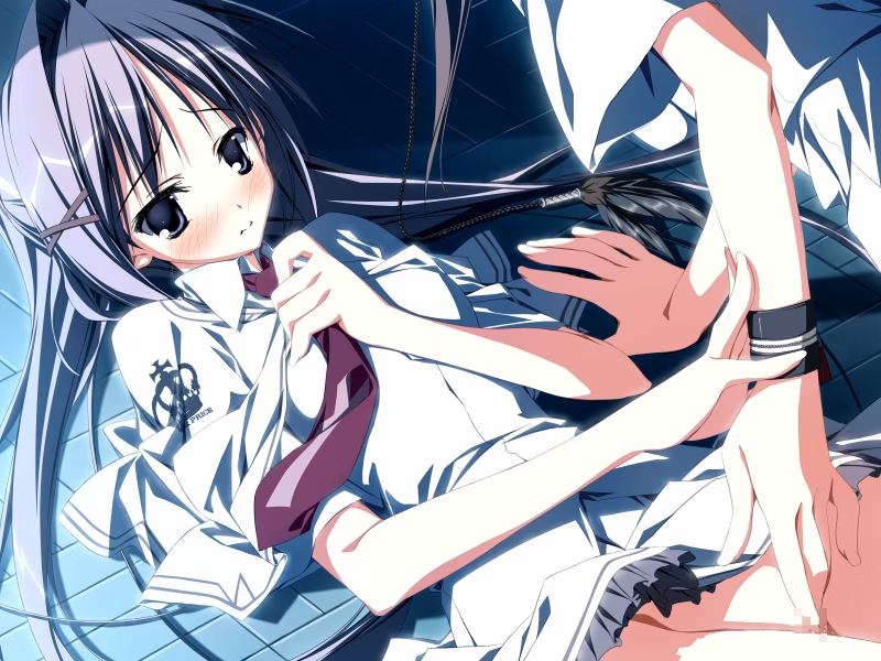 VN Others Completed Subarashiki Hibi ~Furenzoku Sonzai~ (Wonderful Everyday) [Final] [Front Wing]