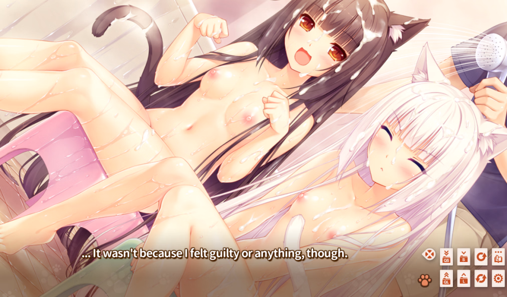 Collection VN Others Completed NekoPara [Extrax, Vol. 0-5 + Extras] [NEKO WORKs]