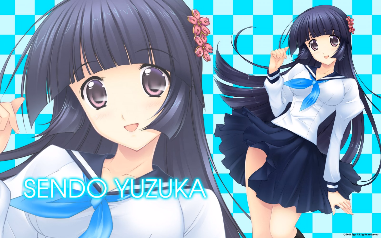 VN Others Completed Muv-Luv Alternative Chronicles Vol.2 [ Age]