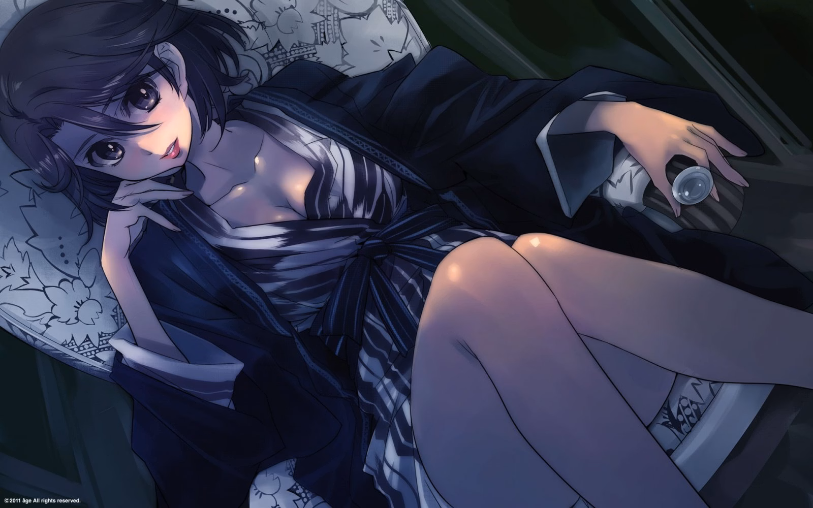 VN Others Completed Muv-Luv Alternative Chronicles Vol.2 [ Age]