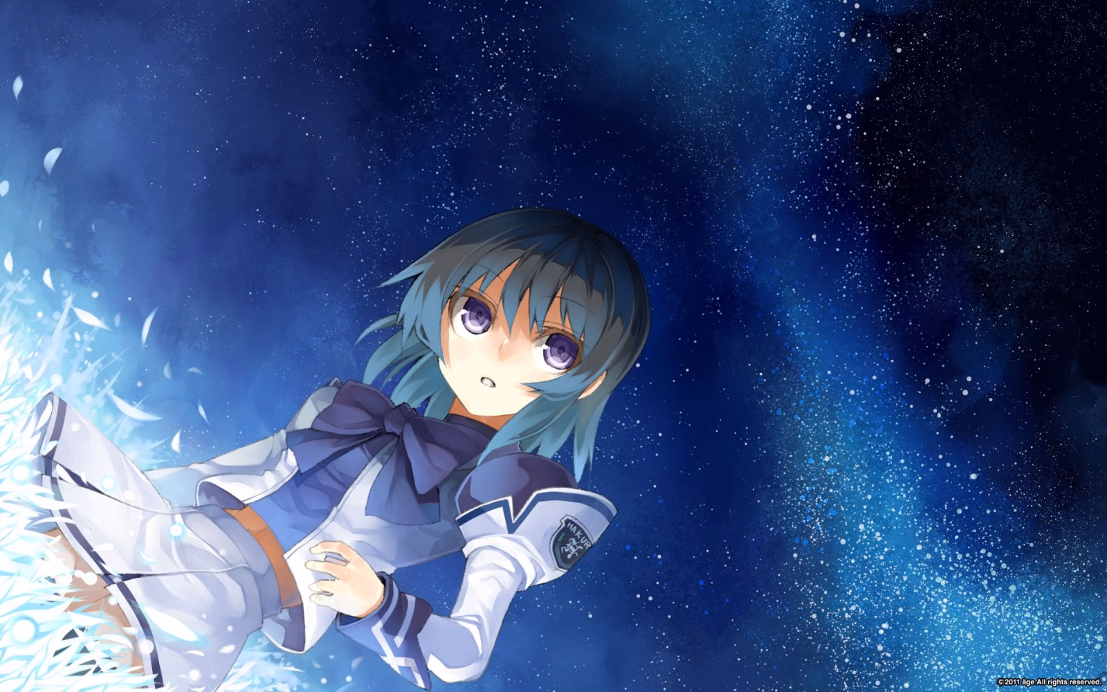 VN Others Completed Muv-Luv Alternative Chronicles Vol.2 [ Age]