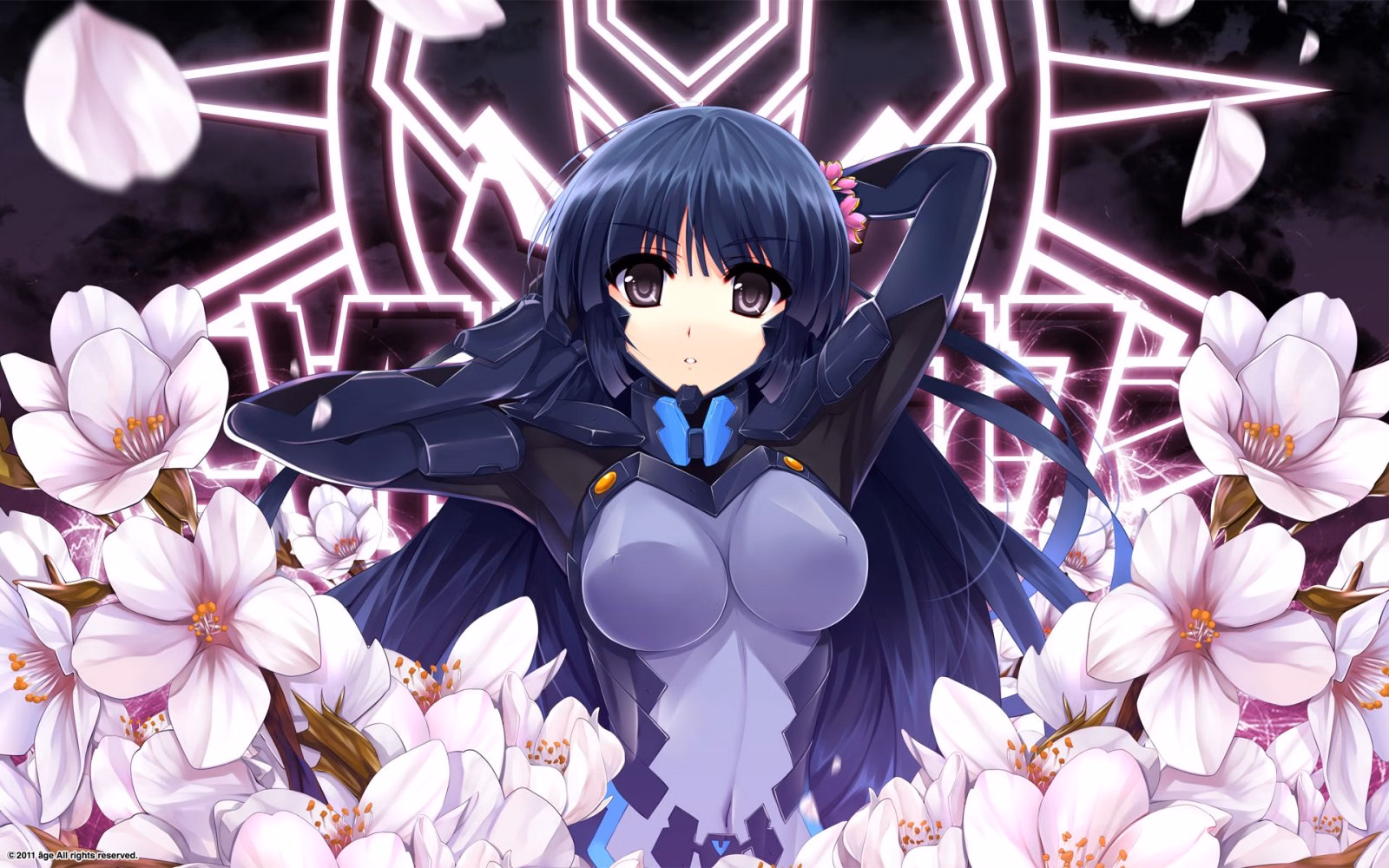 VN Others Completed Muv-Luv Alternative Chronicles Vol.2 [ Age]