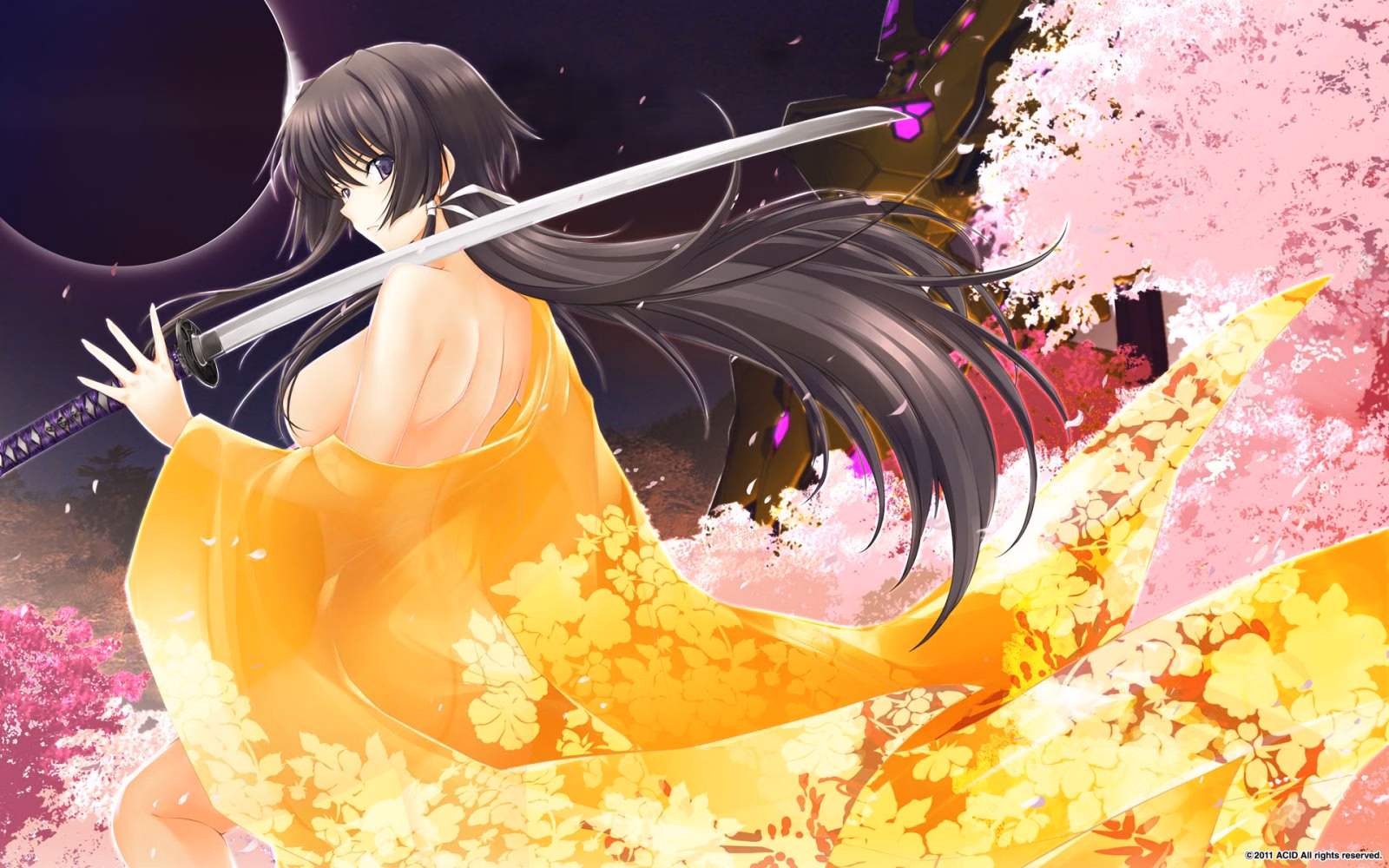 VN Others Completed Muv-Luv Alternative Chronicles Vol.2 [ Age]