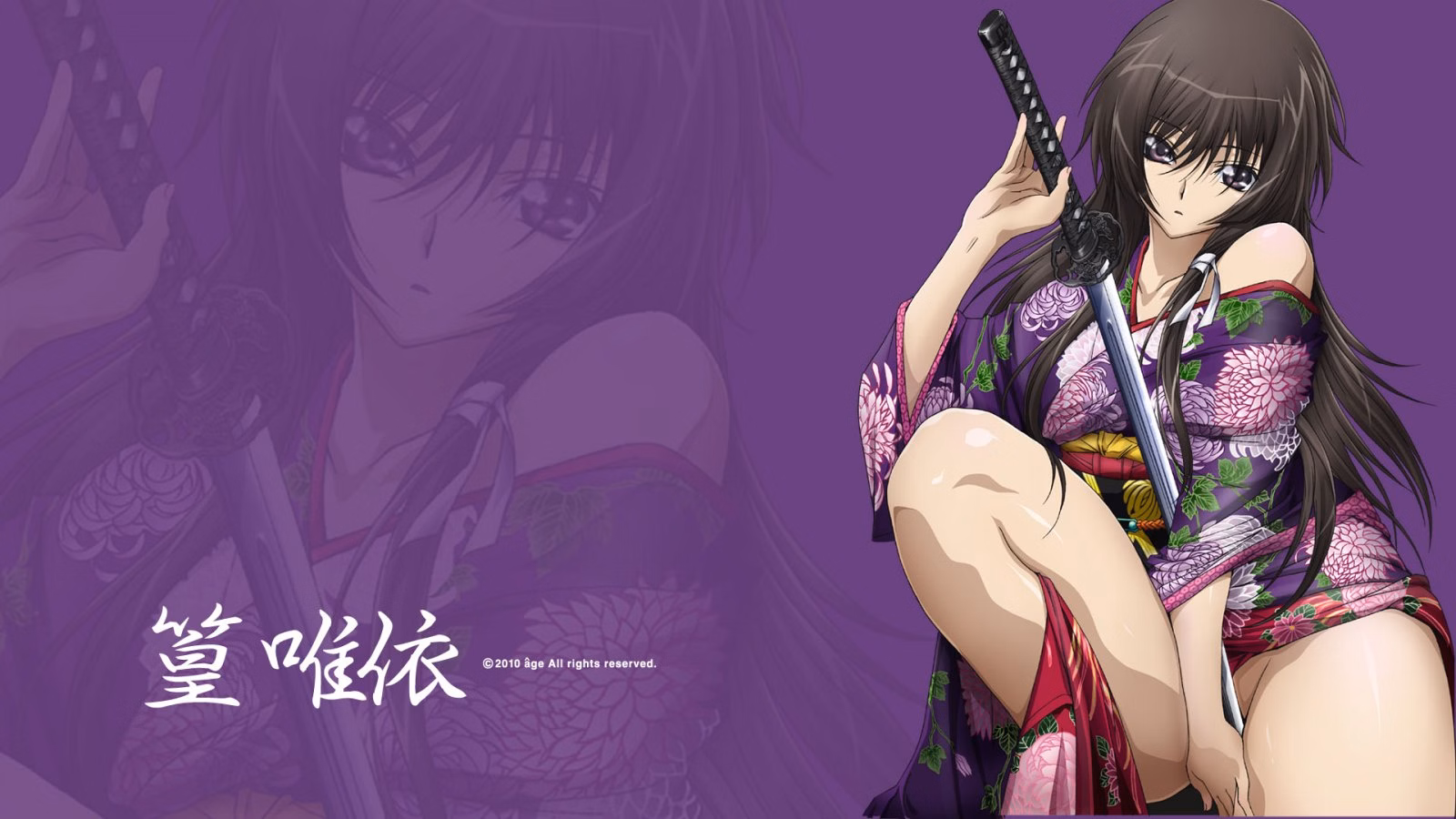 VN Others Completed Muv-Luv Alternative Chronicles Vol.1 [Age]
