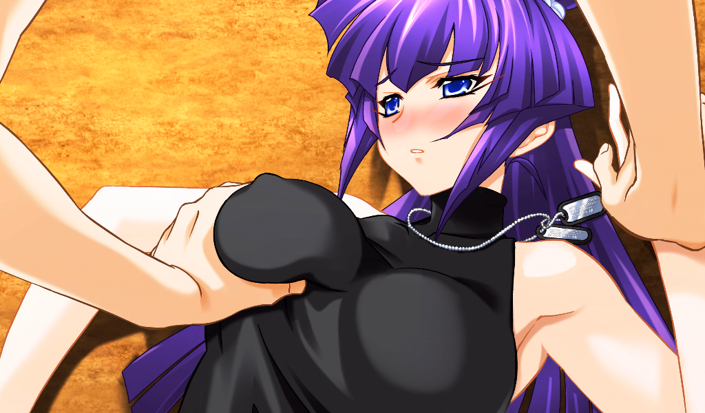VN Others Completed Muv-Luv Haruko Maniax [Final] [Age]
