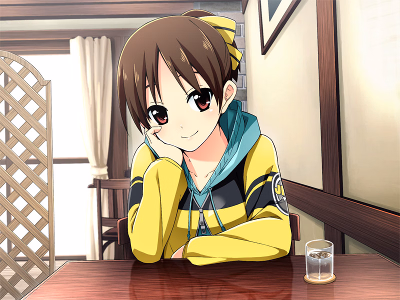 VN Others Completed Go! Go! Nippon! 2016 Deluxe [OVERDRIVE]