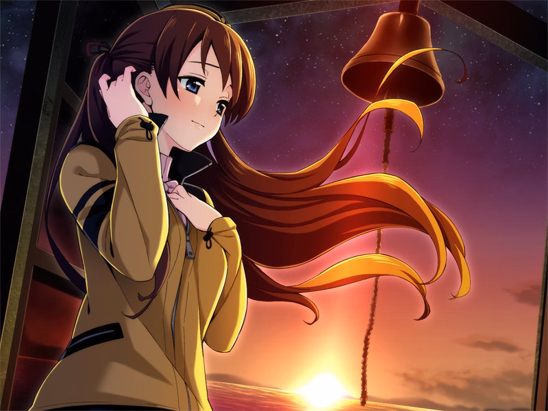 VN Others Completed Go! Go! Nippon! 2016 Deluxe [OVERDRIVE]