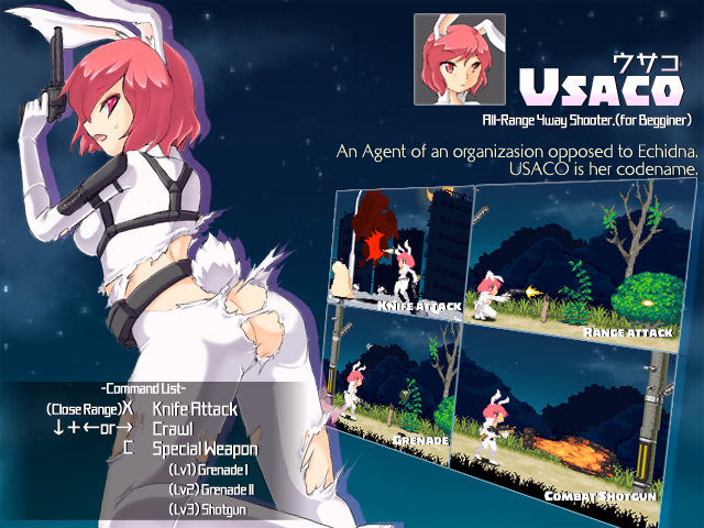 Others Completed Echidna Wars DX [v1.11] [D-Gate]