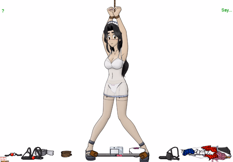 Others Abandoned Maid for Bondage [v2] [Bgagger and Cao Cao]