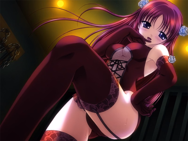 VN Others Completed Da Capo: Kotori Love Ex P [Circus]