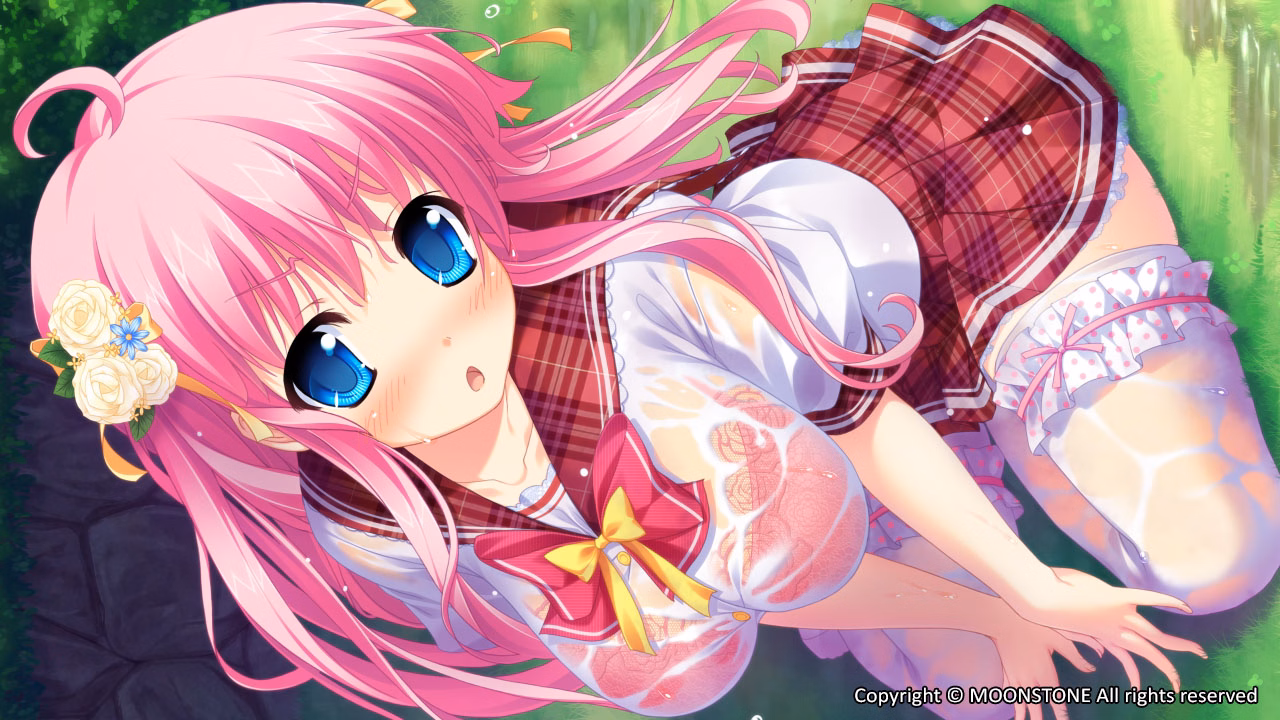VN Others Completed Imouto Paradise 2 [MoonStone Cherry]