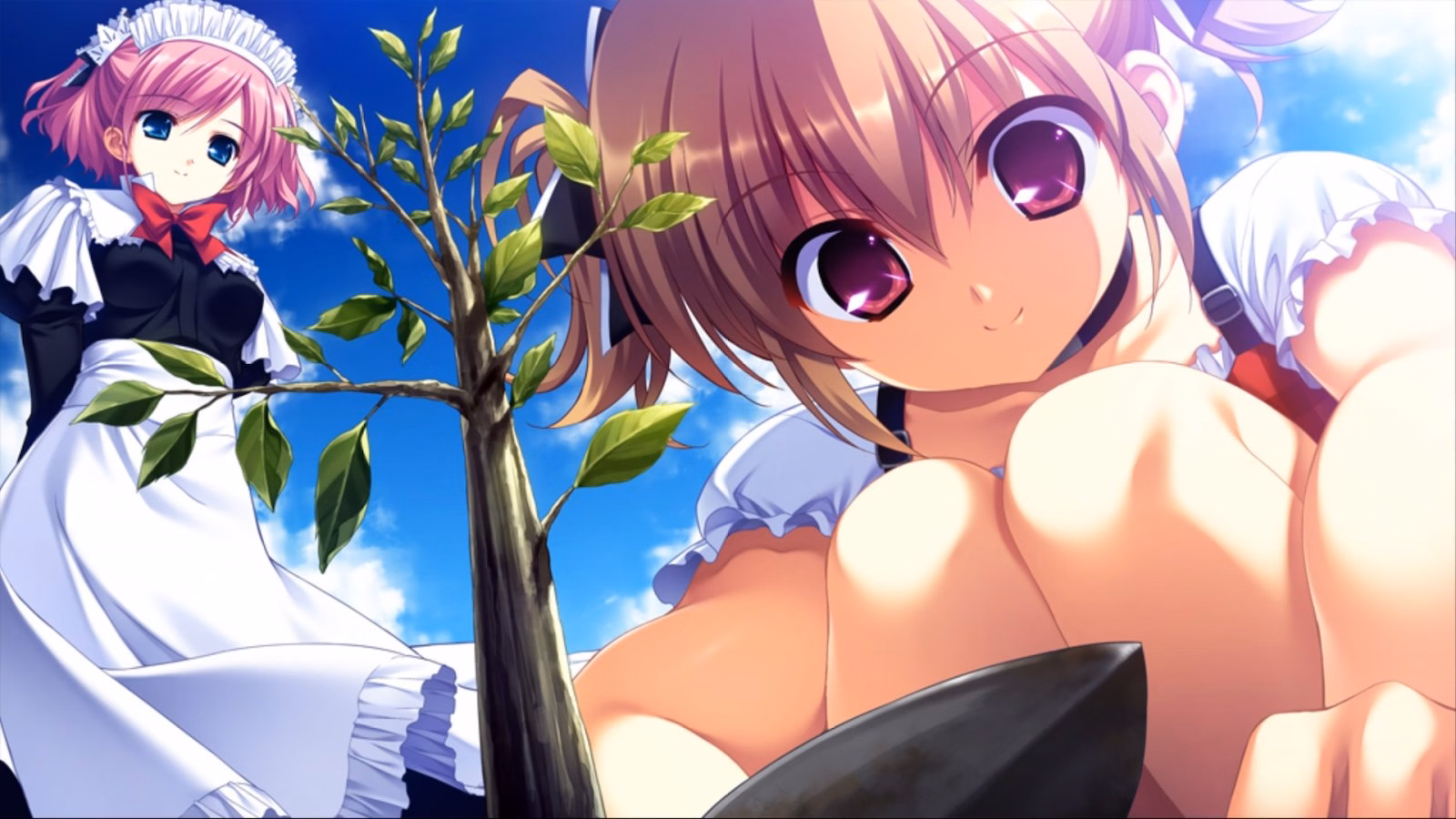VN Others Completed The Labyrinth of Grisaia [Front Wing]