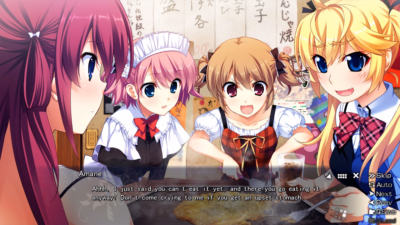 VN Others Completed The Leisure of Grisaia [Front Wing]