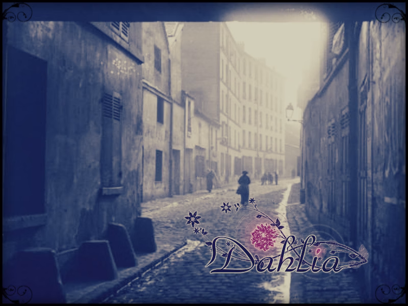 VN Others Completed Dahlia [Cosmillica]