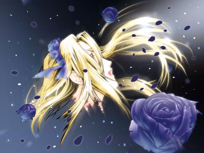 VN Others Completed Kikokugai - The Cyber Slayer [Nitroplus]