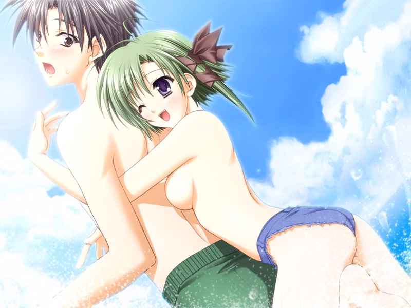 VN Others Completed Shuffle ! [Navel]