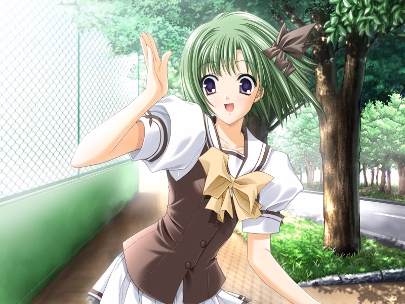 VN Others Completed Shuffle ! [Navel]