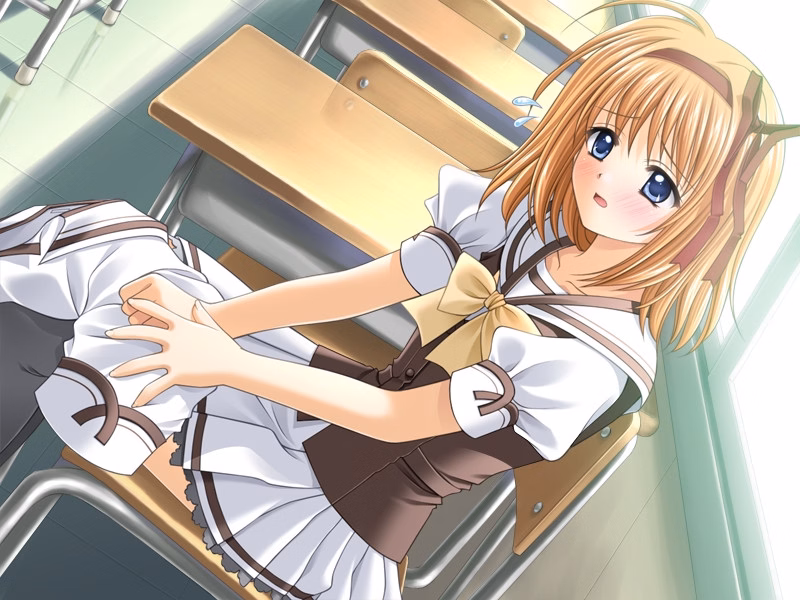 VN Others Completed Shuffle ! [Navel]
