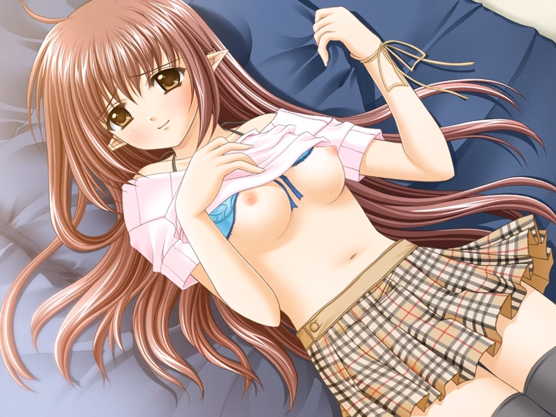 VN Others Completed Shuffle ! [Navel]