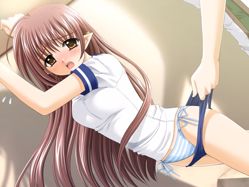VN Others Completed Shuffle ! [Navel]