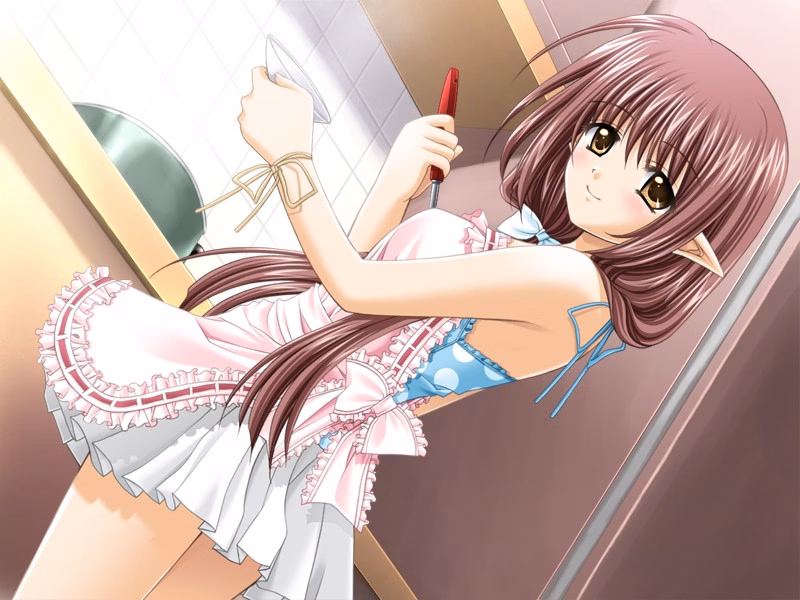 VN Others Completed Shuffle ! [Navel]