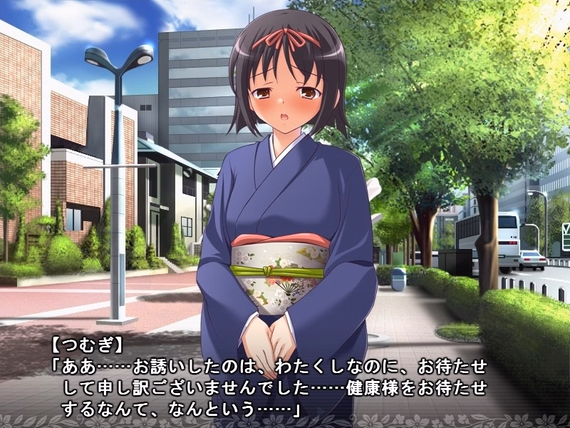 VN Others Completed The Bridegroom Training Diary of Tsumugi-sama [Sadistic Alice]