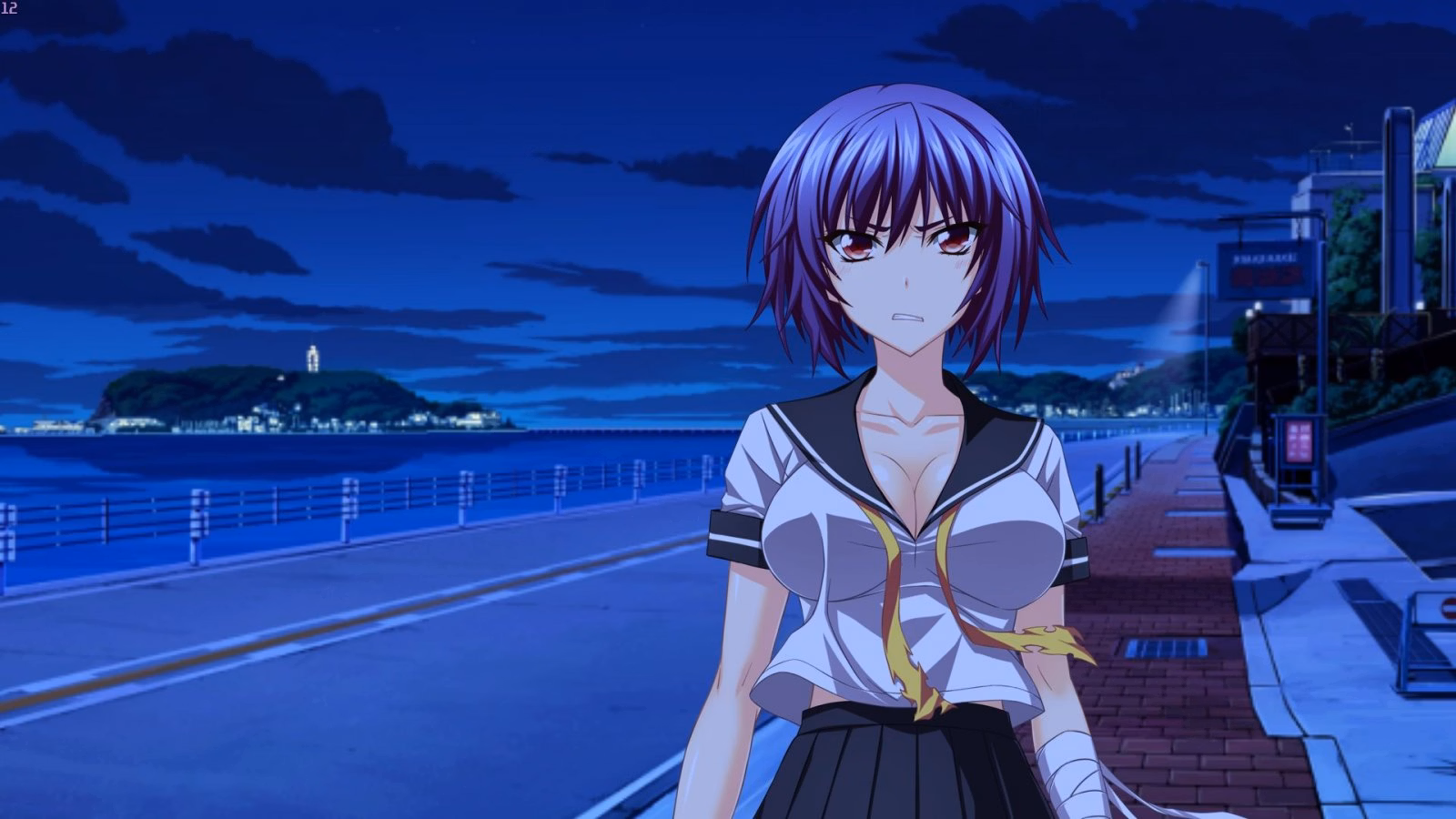 VN Others Completed Tsujidou-san no Jun'ai Road [Minato Carnival]