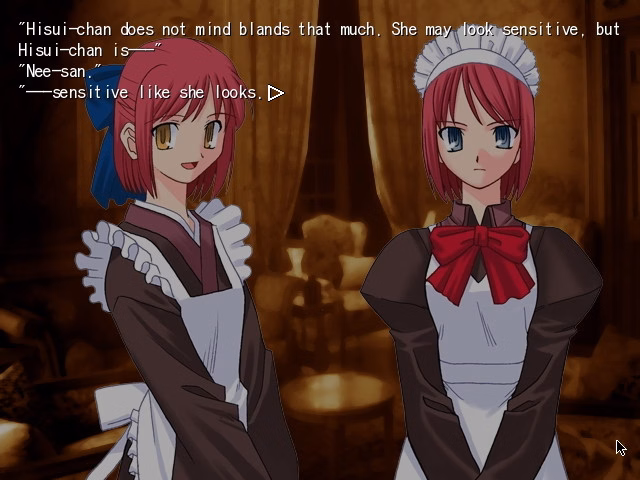 VN Others Completed Tsukihime [Type-Moon]