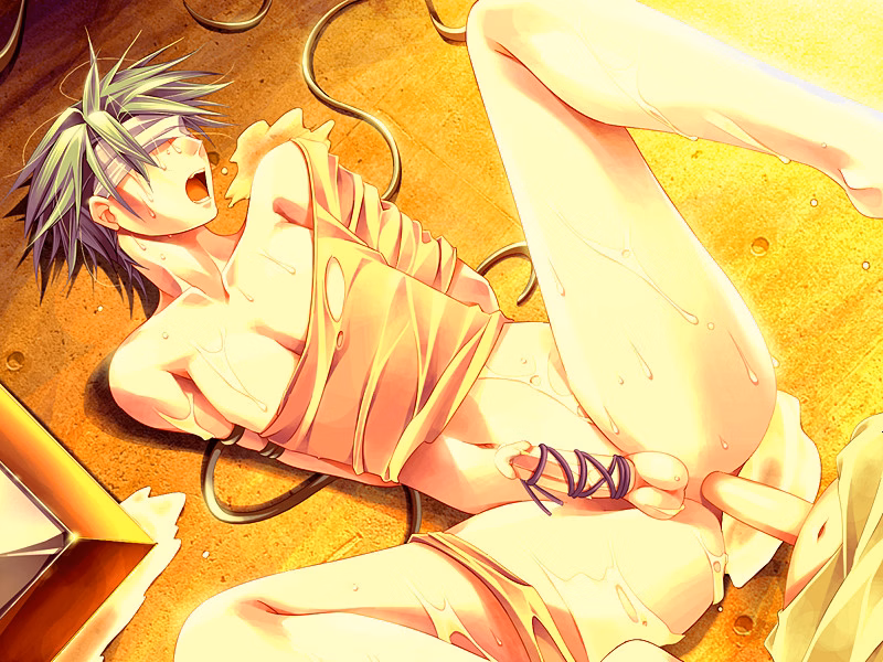 VN Others Completed Absolute Obedience - Zettai Fukujuu Meirei [Langmaor]