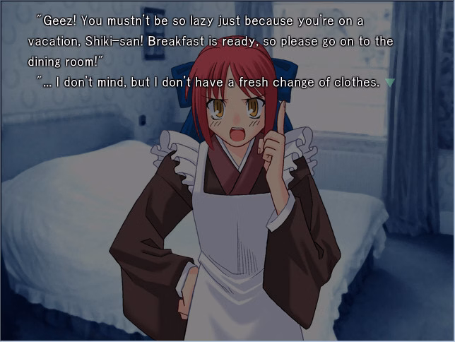 VN Others Completed Tsukihime Plus-Disc [Type-Moon]