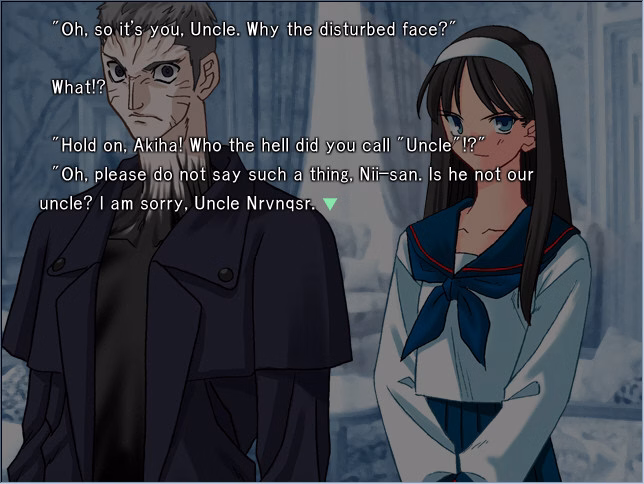VN Others Completed Tsukihime Plus-Disc [Type-Moon]