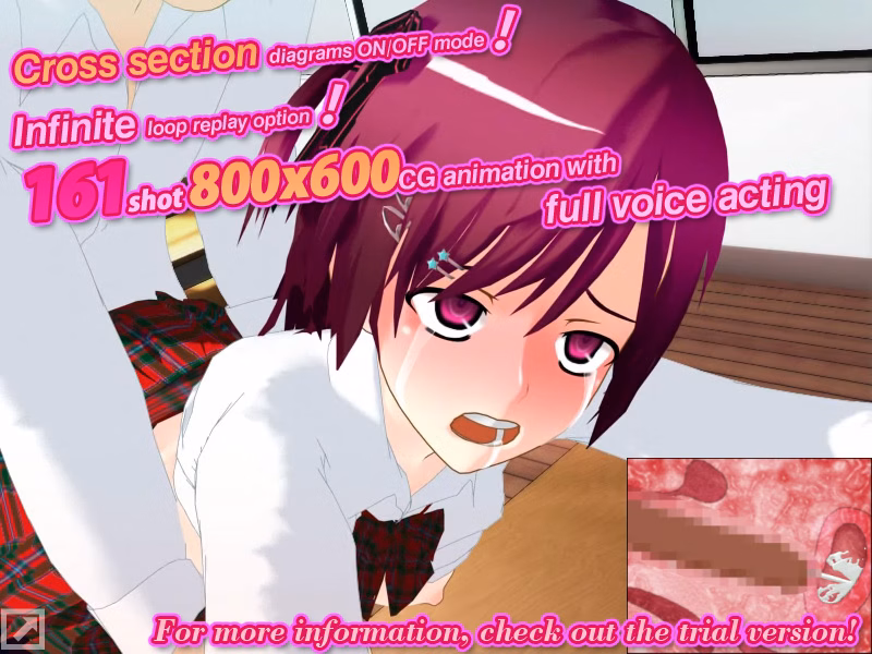 Others Completed Afterschool Restraint [Nylon heart]