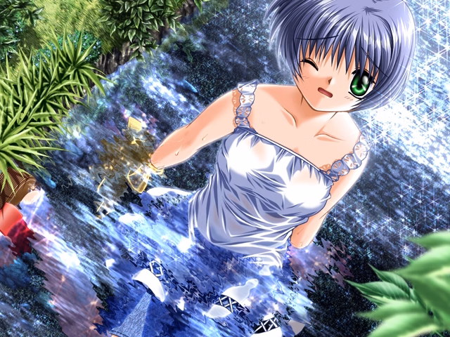 VN Others Completed Air - Standard Edition [Key]