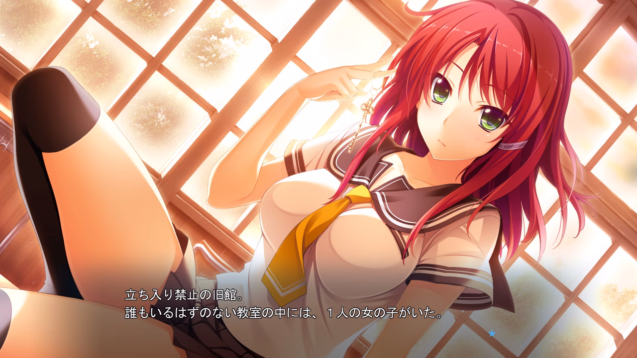 VN Others Completed Hoshi Ori Yume Mirai [Perfect Edition] [Tone Work's]