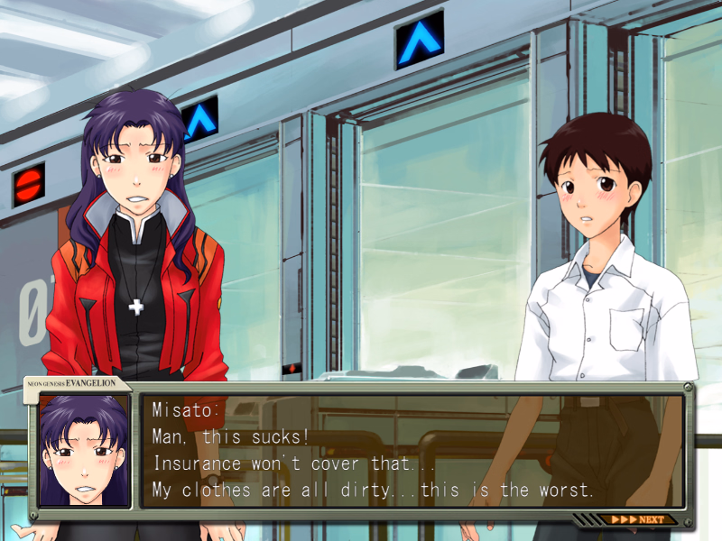 VN Others Completed Shinji Ikari Raising Project [Final] [Gainax]