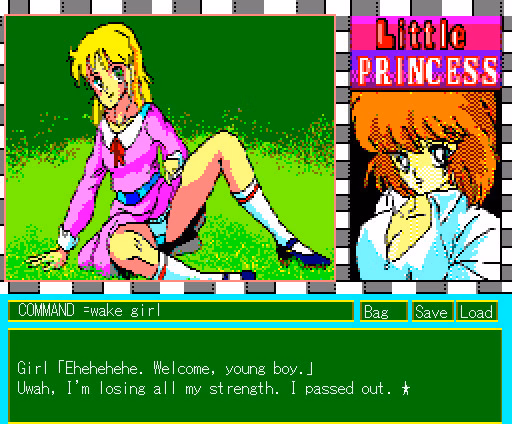 VN Others Completed Little Princess [Final] [Champion Soft]