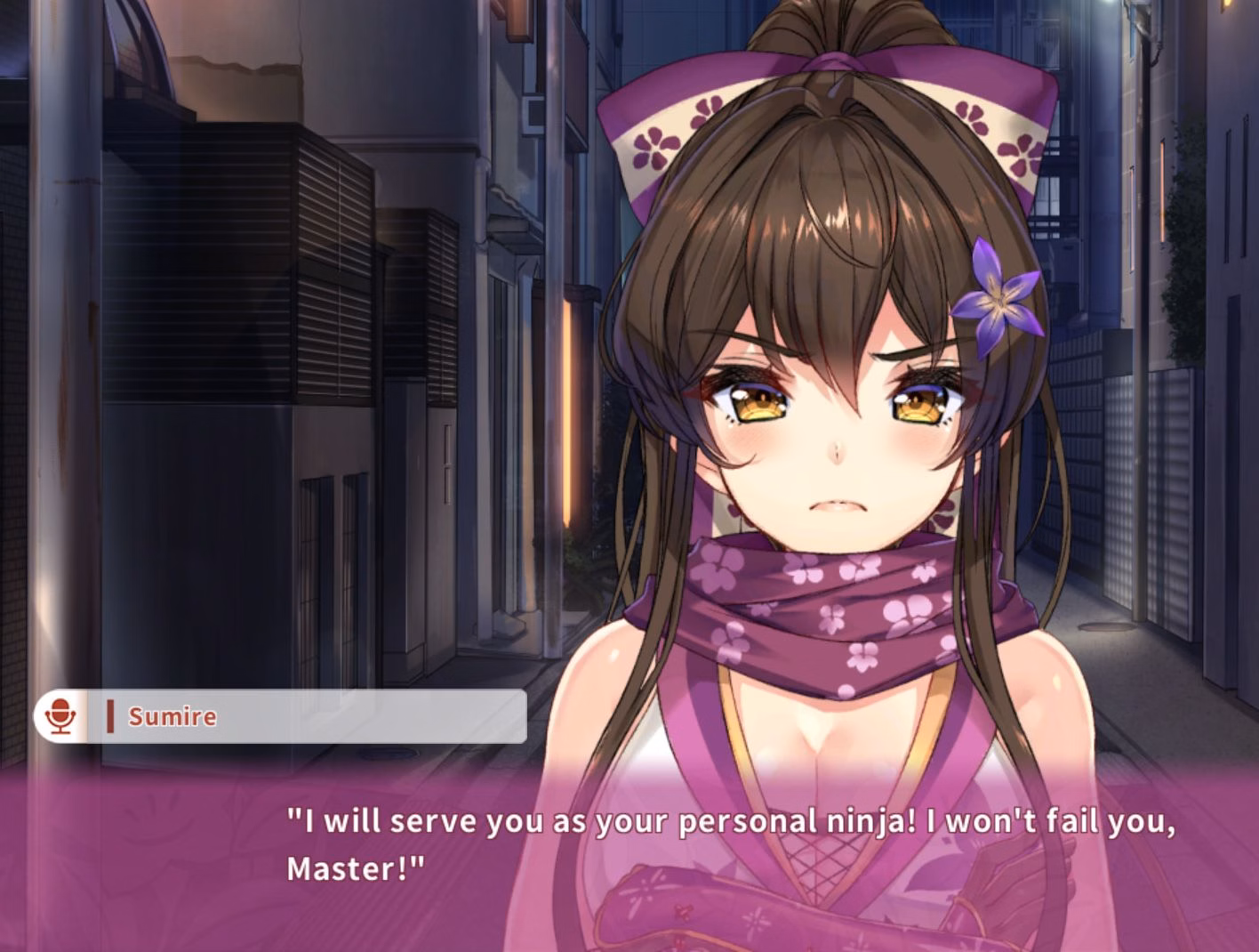 VN Others Completed NinNinDays [v1.0.0] [qureate & iMel Inc.]
